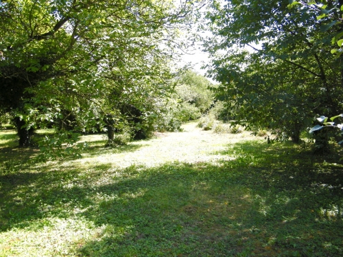 TERRAIN A BATIR