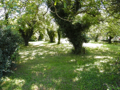 TERRAIN A BATIR